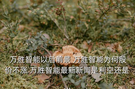  萬(wàn)勝智能以后前景 萬(wàn)勝智能為何股價(jià)不漲 萬(wàn)勝智能最新新聞是利空還是...