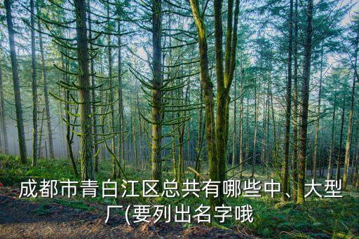  成都市青白江區(qū)總共有哪些中、大型廠(要列出名字哦