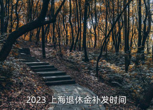 2023 上海退休金補(bǔ)發(fā)時間