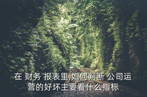 投資管理公司財務報表
