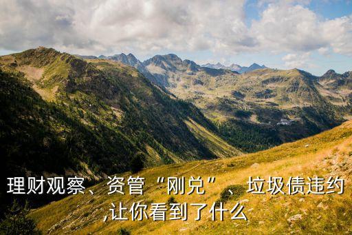 理財(cái)觀察、資管“剛兌”、垃圾債違約,讓你看到了什么