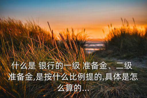 什么是 銀行的一級(jí) 準(zhǔn)備金、二級(jí) 準(zhǔn)備金,是按什么比例提的,具體是怎么算的...