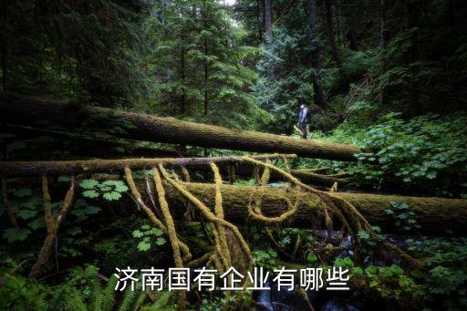中國石化兗州,兗州中國石化加油站電話號(hào)碼