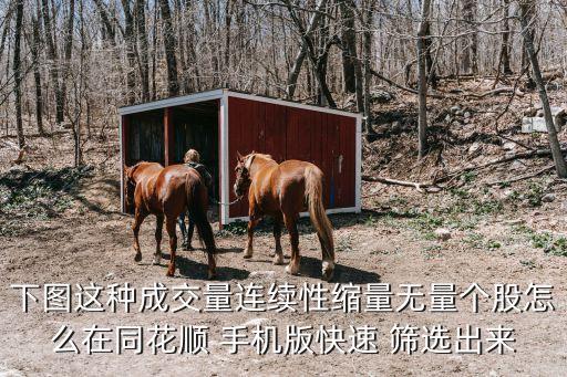 下圖這種成交量連續(xù)性縮量無量個股怎么在同花順 手機(jī)版快速 篩選出來