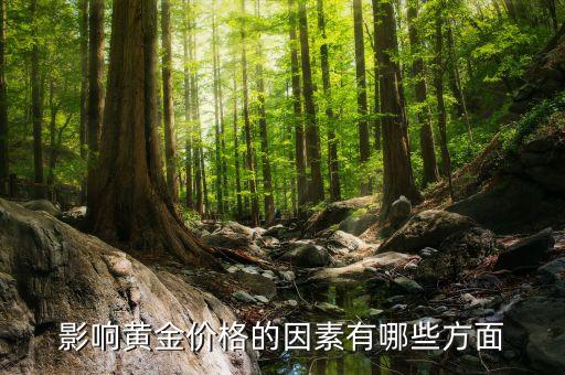 近年金礦個人開采投資風險評估