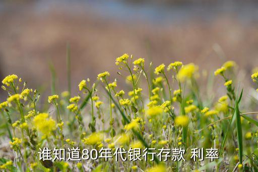 中國(guó)歷年名義利率,中國(guó)央行歷年利率