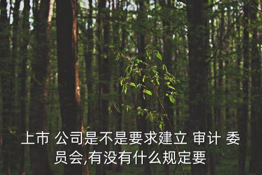 上市 公司是不是要求建立 審計(jì) 委員會(huì),有沒(méi)有什么規(guī)定要