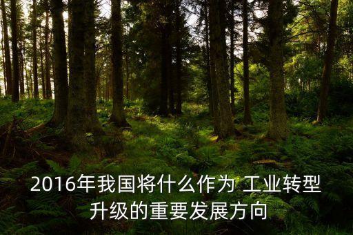 2016年我國(guó)將什么作為 工業(yè)轉(zhuǎn)型 升級(jí)的重要發(fā)展方向