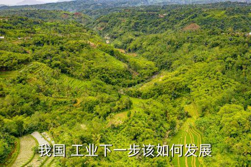 我國(guó) 工業(yè)下一步該如何發(fā)展