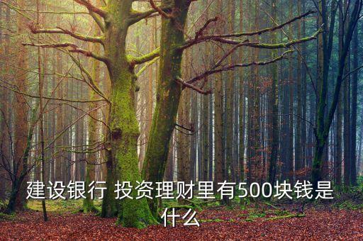 建設(shè)銀行 投資理財里有500塊錢是什么