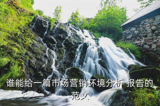 誰能給一篇市場(chǎng)營(yíng)銷環(huán)境分析 報(bào)告的范文