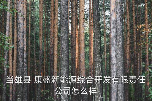 當(dāng)雄縣 康盛新能源綜合開(kāi)發(fā)有限責(zé)任公司怎么樣