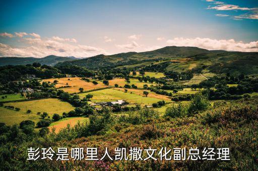 彭玲是哪里人凱撒文化副總經理