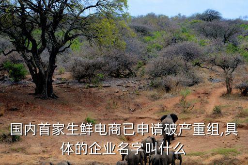 國內首家生鮮電商已申請破產重組,具體的企業(yè)名字叫什么