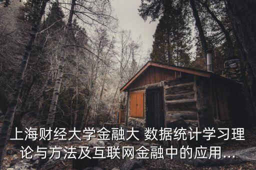 上海財經(jīng)大學金融大 數(shù)據(jù)統(tǒng)計學習理論與方法及互聯(lián)網(wǎng)金融中的應用...