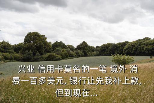  興業(yè) 信用卡莫名的一筆 境外 消費一百多美元, 銀行讓先我補上款,但到現在...