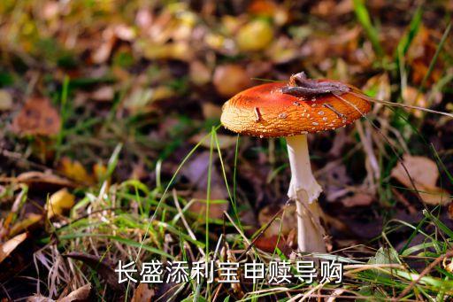  長盛添利寶申贖導(dǎo)購