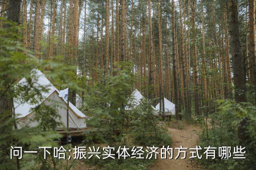 問(wèn)一下哈;振興實(shí)體經(jīng)濟(jì)的方式有哪些