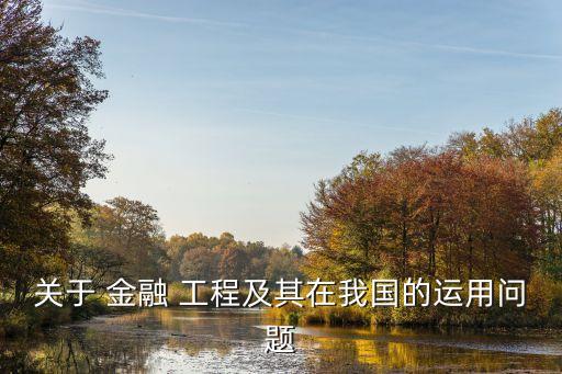 關(guān)于 金融 工程及其在我國(guó)的運(yùn)用問(wèn)題