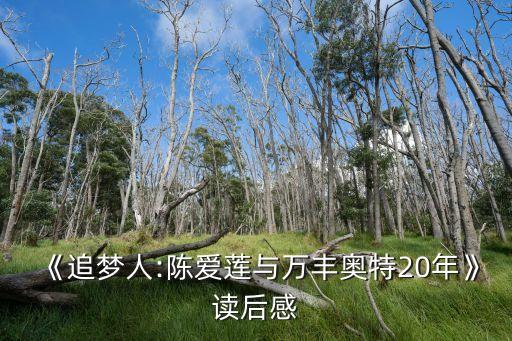 《追夢(mèng)人:陳愛蓮與萬(wàn)豐奧特20年》讀后感
