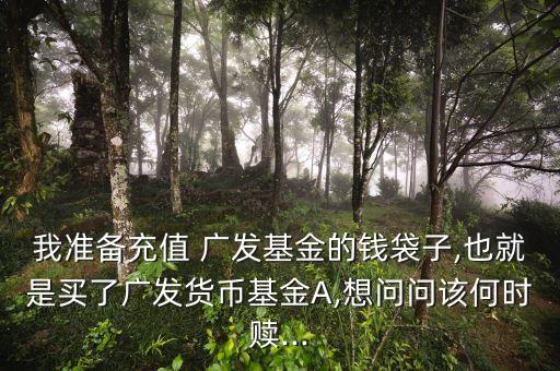 我準(zhǔn)備充值 廣發(fā)基金的錢袋子,也就是買了廣發(fā)貨幣基金A,想問問該何時贖...