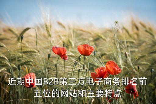 近期中國B2B第三方電子商務(wù)排名前五位的網(wǎng)站和主要特點(diǎn)