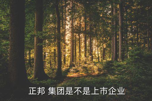 深圳正邦集團,正邦集團最新消息經濟狀況