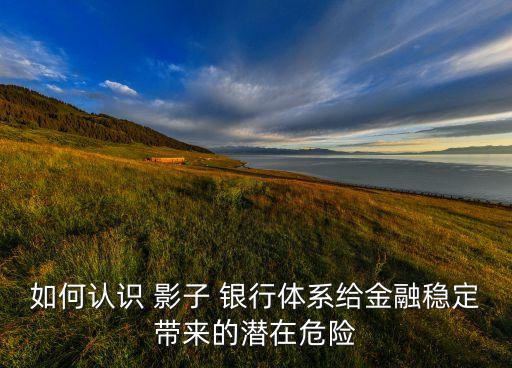 如何認(rèn)識(shí) 影子 銀行體系給金融穩(wěn)定帶來(lái)的潛在危險(xiǎn)