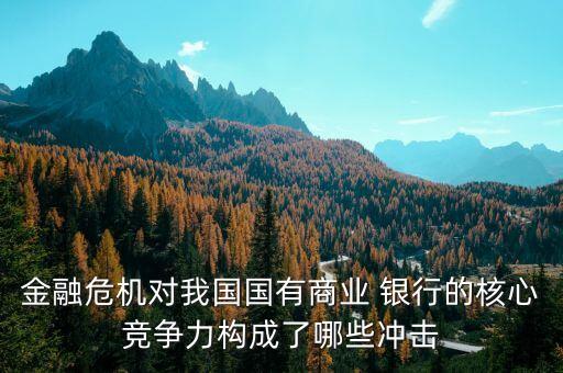 金融危機(jī)對(duì)我國國有商業(yè) 銀行的核心競(jìng)爭(zhēng)力構(gòu)成了哪些沖擊