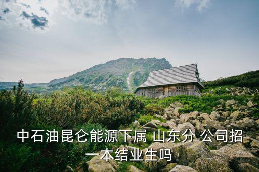 中路財(cái)險(xiǎn)山東公司招聘,中國人保財(cái)險(xiǎn)公司招聘信息