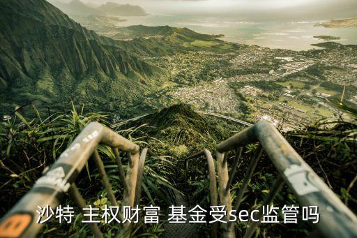 沙特 主權(quán)財(cái)富 基金受sec監(jiān)管嗎