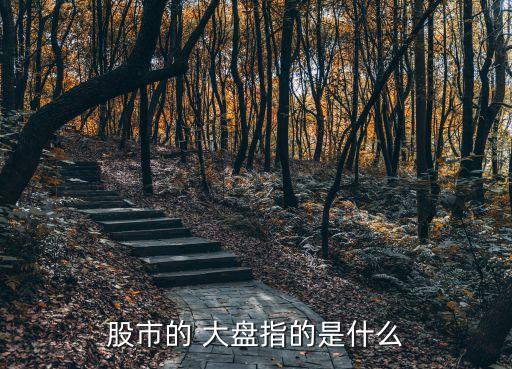 股市的 大盤(pán)指的是什么
