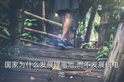 國家為什么發(fā)展鋰電池,而不發(fā)展釩電池