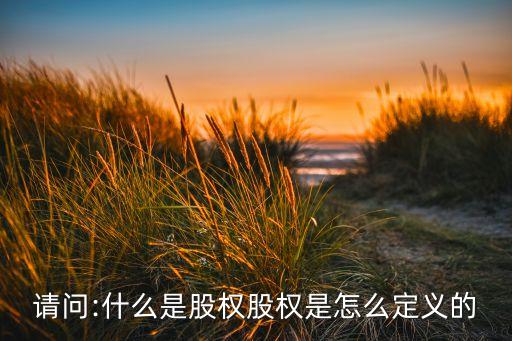 請(qǐng)問(wèn):什么是股權(quán)股權(quán)是怎么定義的