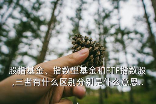 股指基金、指數(shù)型基金和ETF指數(shù)股,三者有什么區(qū)別分別是什么意思...