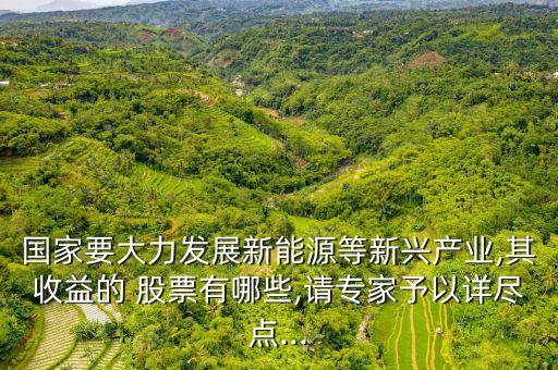 國家要大力發(fā)展新能源等新興產(chǎn)業(yè),其收益的 股票有哪些,請專家予以詳盡點(diǎn)...