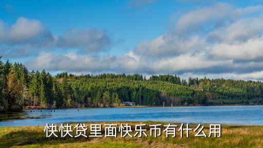 上?？炜熨J,快快貸最新消息