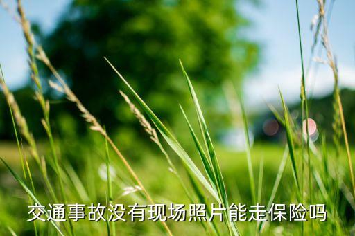 交通事故沒(méi)有現(xiàn)場(chǎng)照片能走保險(xiǎn)嗎