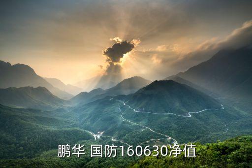鵬華國(guó)防是什么基金,160630鵬華國(guó)防基金