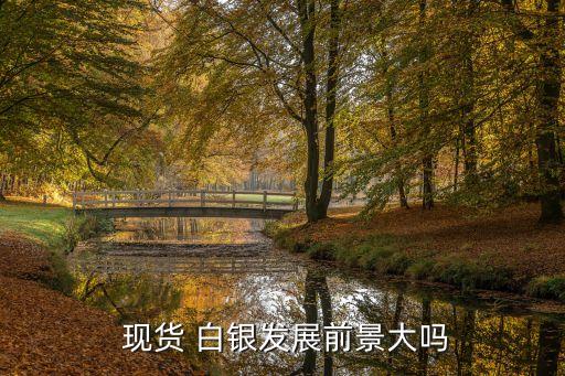 現(xiàn)貨白銀投資價(jià)值,哪個(gè)現(xiàn)貨白銀投資平臺好