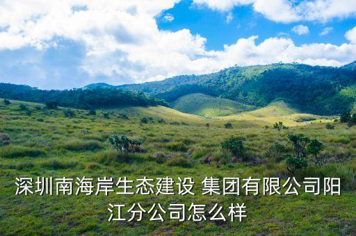 深圳南海岸生態(tài)建設(shè) 集團有限公司陽江分公司怎么樣