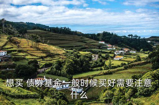 想買(mǎi) 債券基金一般時(shí)候買(mǎi)好需要注意什么