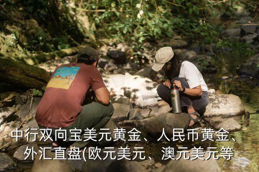 中行雙向?qū)毭涝S金、人民幣黃金、 外匯直盤(歐元美元、澳元美元等