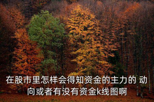在股市里怎樣會(huì)得知資金的主力的 動(dòng)向或者有沒有資金k線圖啊