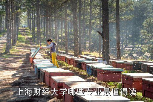 上海財經大學哪些專業(yè)最值得讀