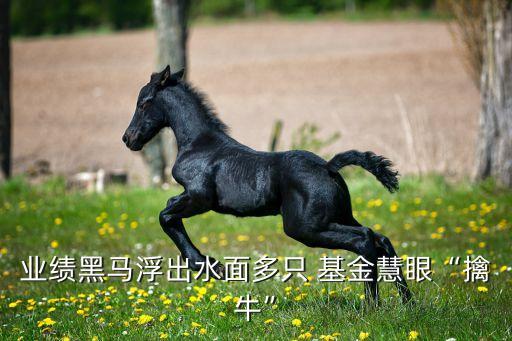 業(yè)績黑馬浮出水面多只 基金慧眼“擒牛”