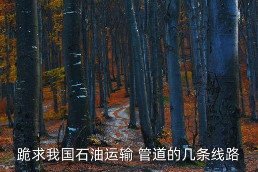 跪求我國(guó)石油運(yùn)輸 管道的幾條線路