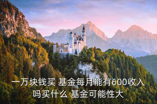 一萬(wàn)塊錢(qián)買(mǎi) 基金每月能有600收入嗎買(mǎi)什么 基金可能性大