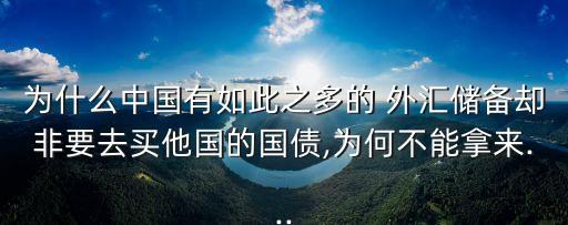為什么中國(guó)有如此之多的 外匯儲(chǔ)備卻非要去買他國(guó)的國(guó)債,為何不能拿來...