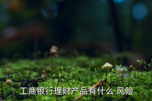  工商銀行理財產(chǎn)品有什么 風(fēng)險